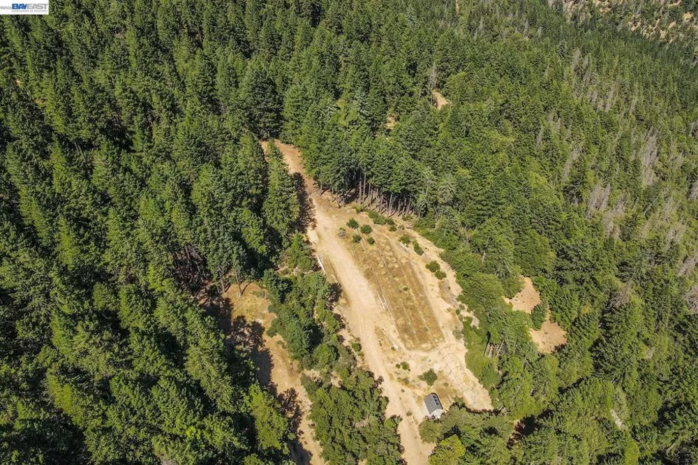 190 Moore Gulch Trinity Center, CA 96091