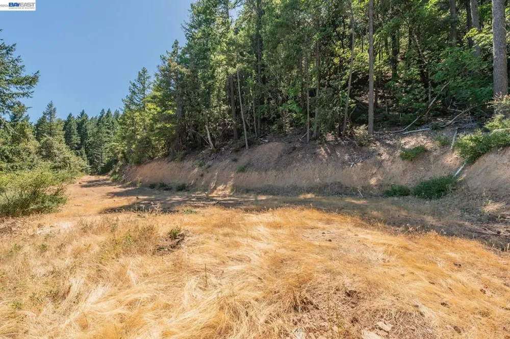 190 Moore Gulch Trinity Center, CA 96091