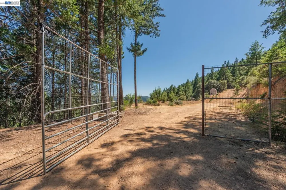 190 Moore Gulch Trinity Center, CA 96091