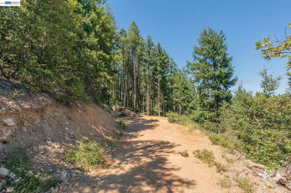 190 Moore Gulch Trinity Center, CA 96091