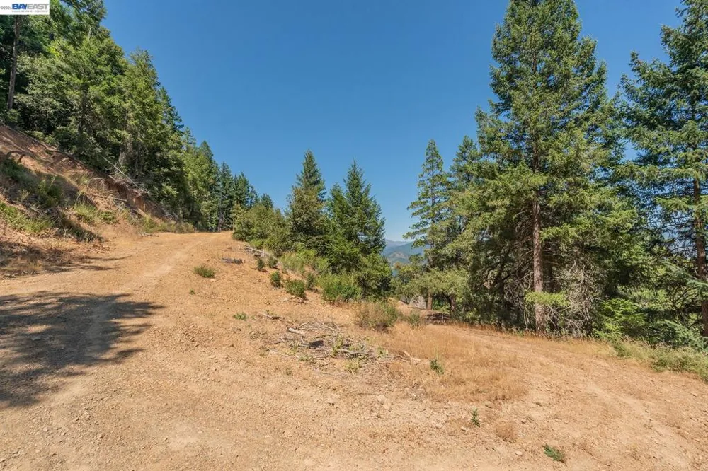 190 Moore Gulch Trinity Center, CA 96091