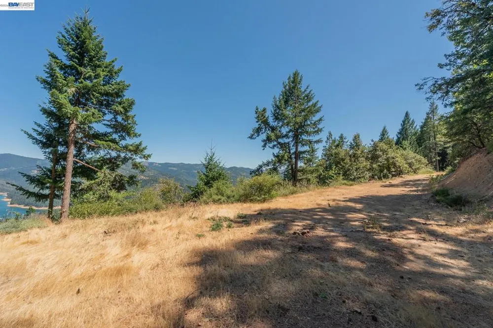 190 Moore Gulch Trinity Center, CA 96091