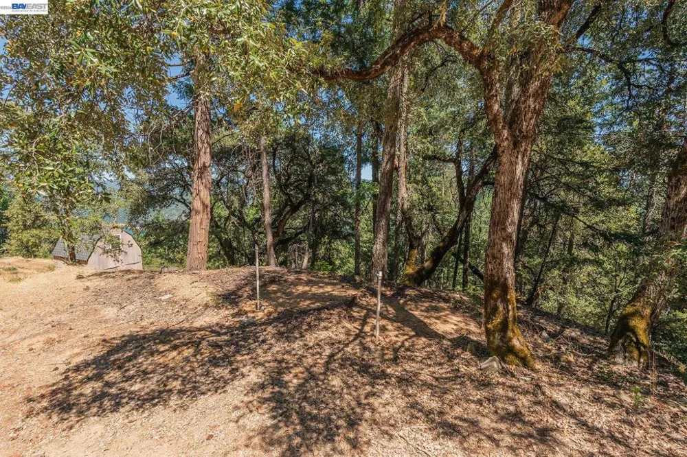 190 Moore Gulch Trinity Center, CA 96091
