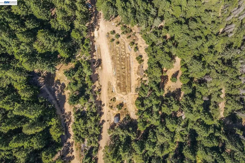 190 Moore Gulch Trinity Center, CA 96091