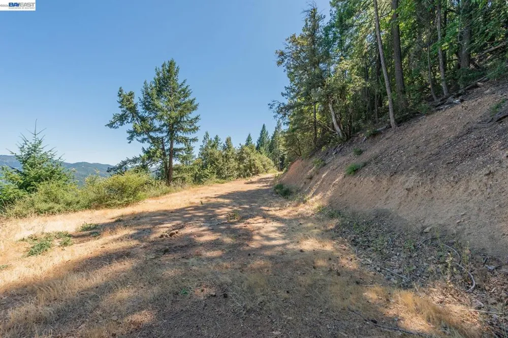 190 Moore Gulch Trinity Center, CA 96091