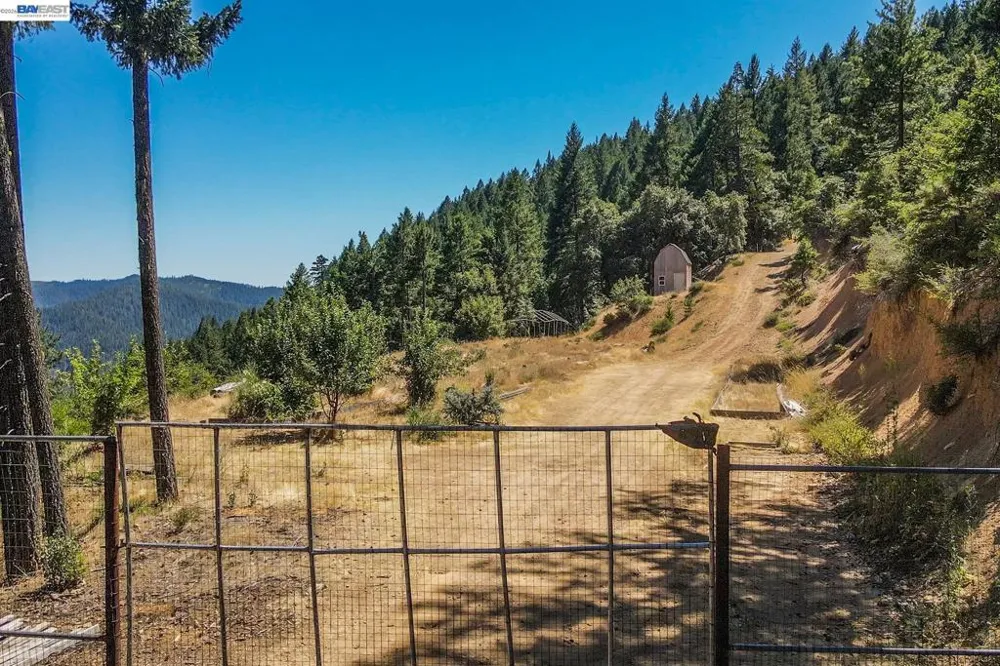 190 Moore Gulch Trinity Center, CA 96091