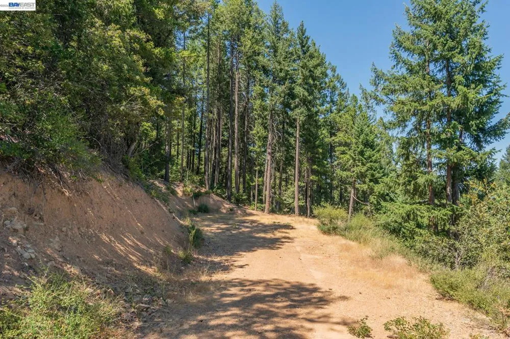 190 Moore Gulch Trinity Center, CA 96091