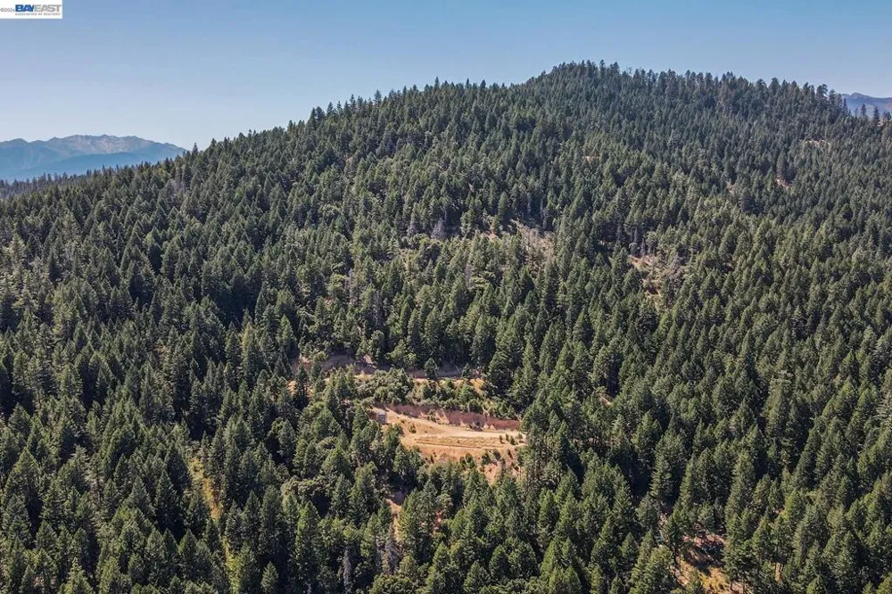 190 Moore Gulch Trinity Center, CA 96091