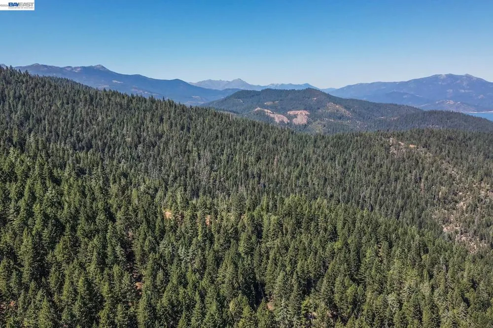 190 Moore Gulch Trinity Center, CA 96091