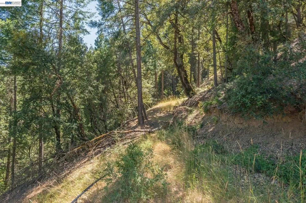 190 Moore Gulch Trinity Center, CA 96091