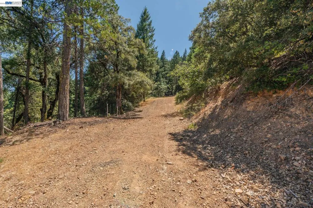 190 Moore Gulch Trinity Center, CA 96091