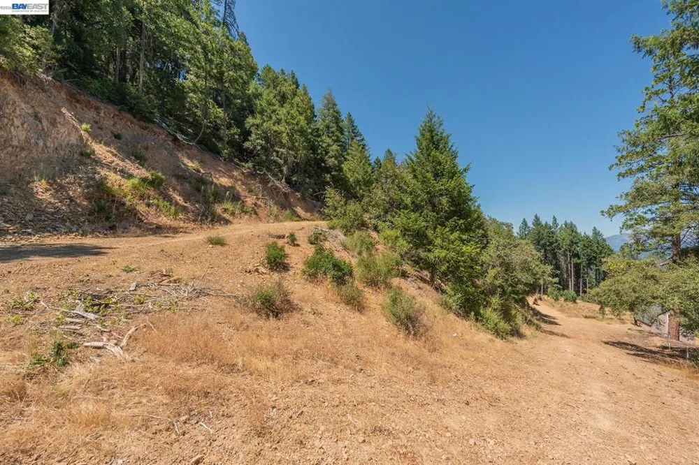 190 Moore Gulch Trinity Center, CA 96091