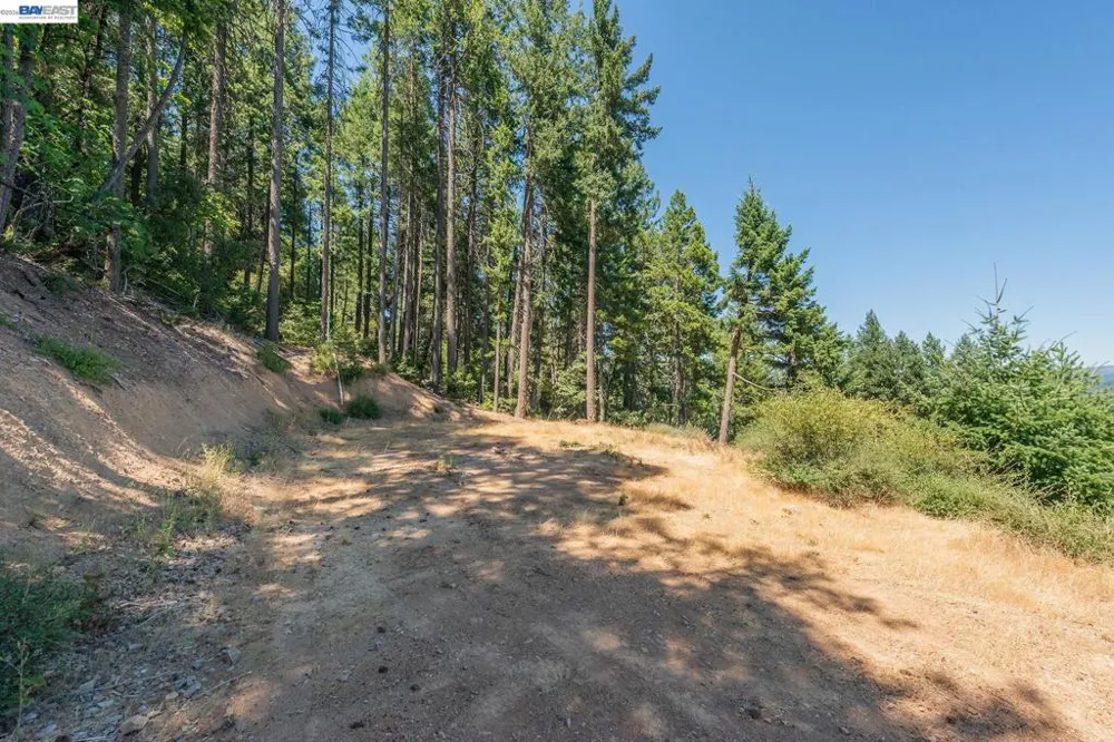 190 Moore Gulch Trinity Center, CA 96091