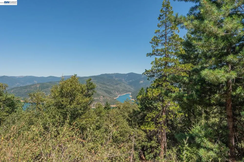 190 Moore Gulch Trinity Center, CA 96091