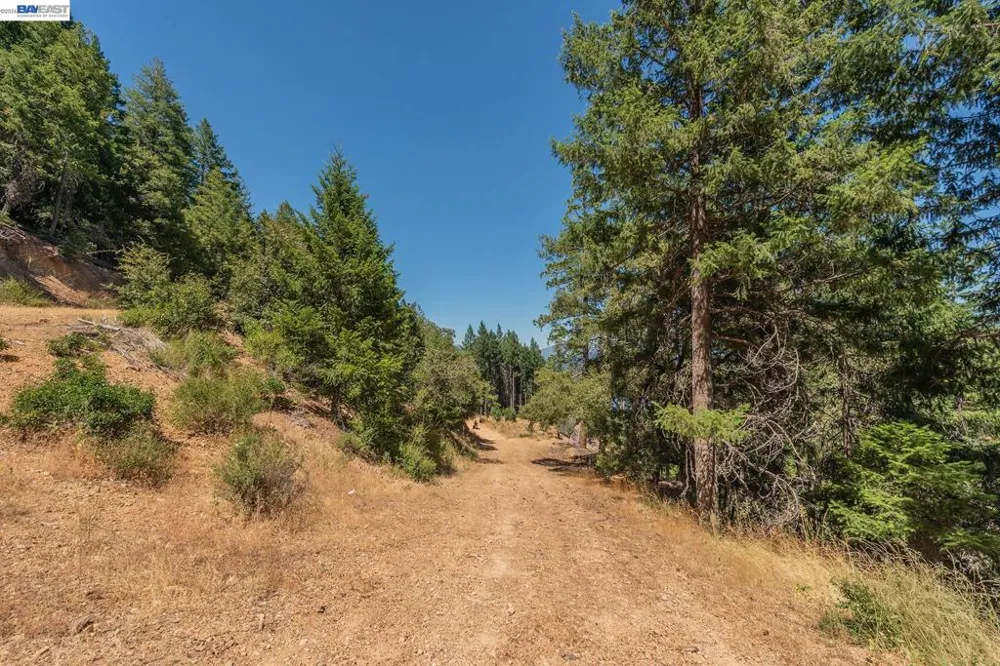 190 Moore Gulch Trinity Center, CA 96091