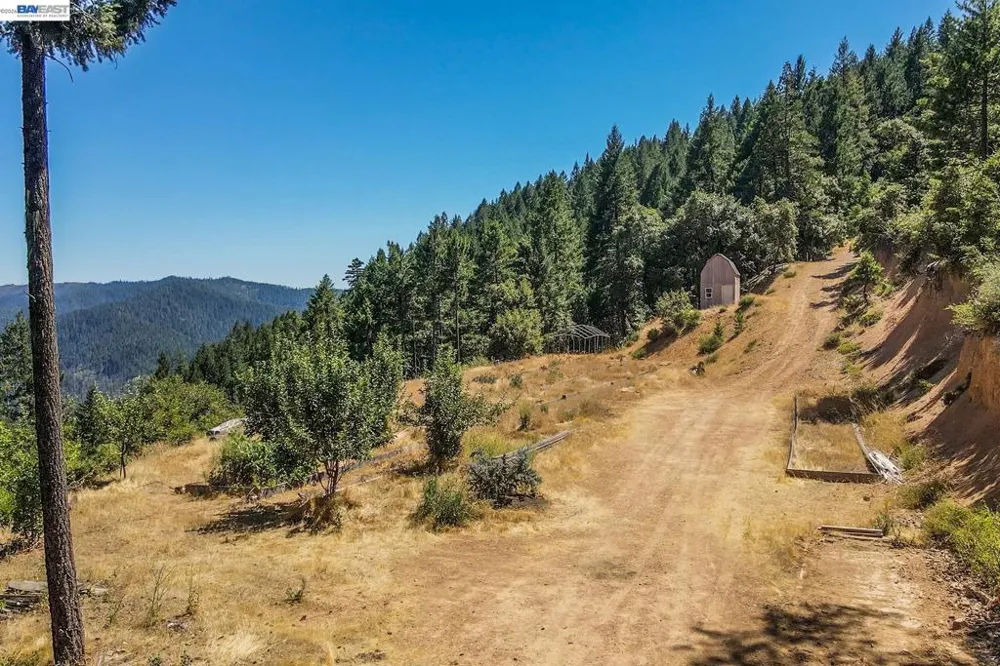 190 Moore Gulch Trinity Center, CA 96091