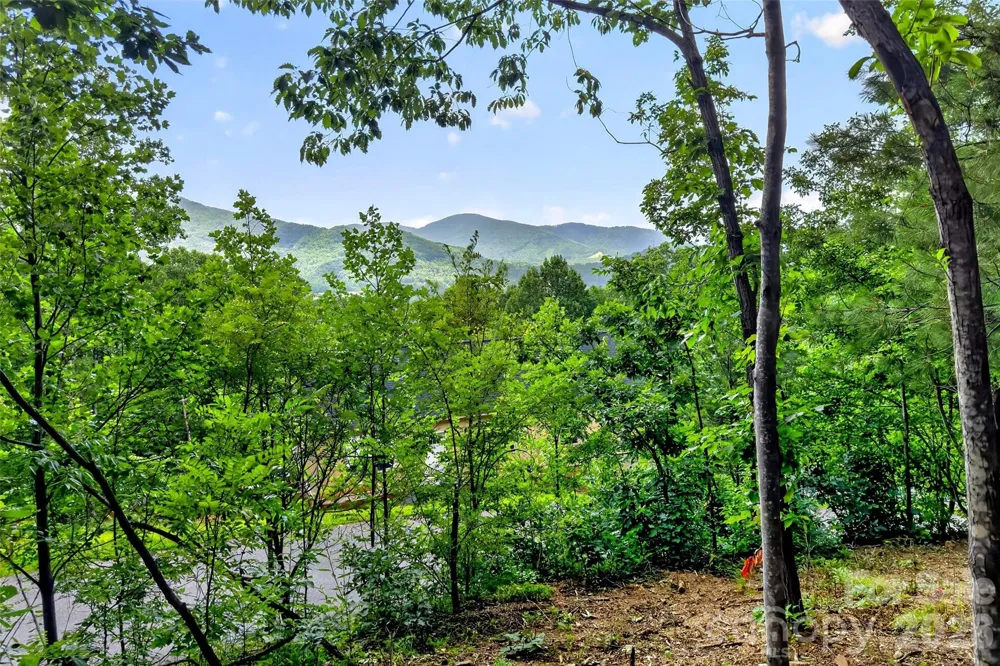 16 Nellie Bell Lane Swannanoa, NC 28778