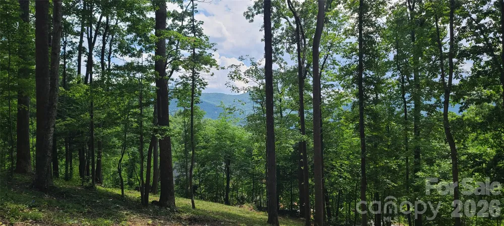 16 Nellie Bell Lane Swannanoa, NC 28778