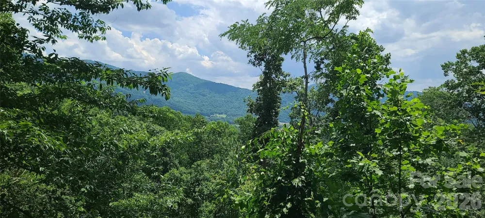 16 Nellie Bell Lane Swannanoa, NC 28778
