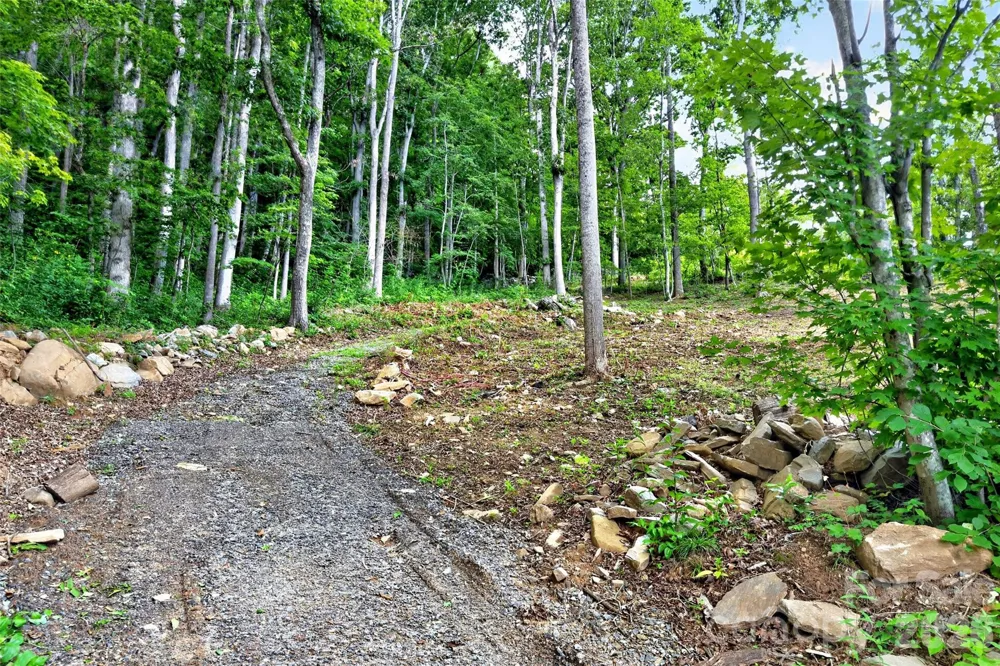 16 Nellie Bell Lane Swannanoa, NC 28778