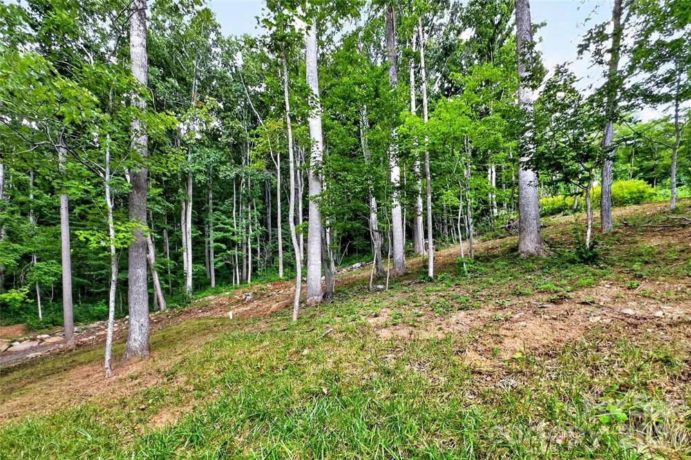 16 Nellie Bell Lane Swannanoa, NC 28778