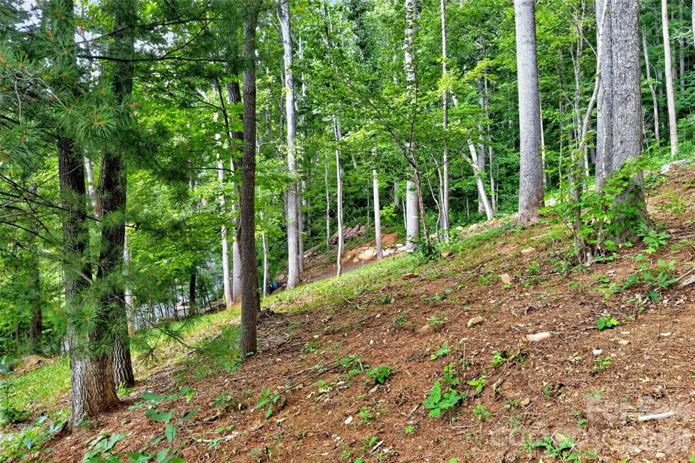 16 Nellie Bell Lane Swannanoa, NC 28778