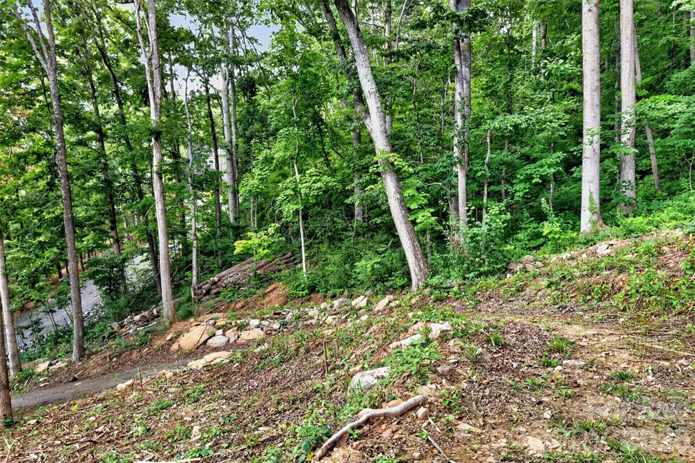 16 Nellie Bell Lane Swannanoa, NC 28778