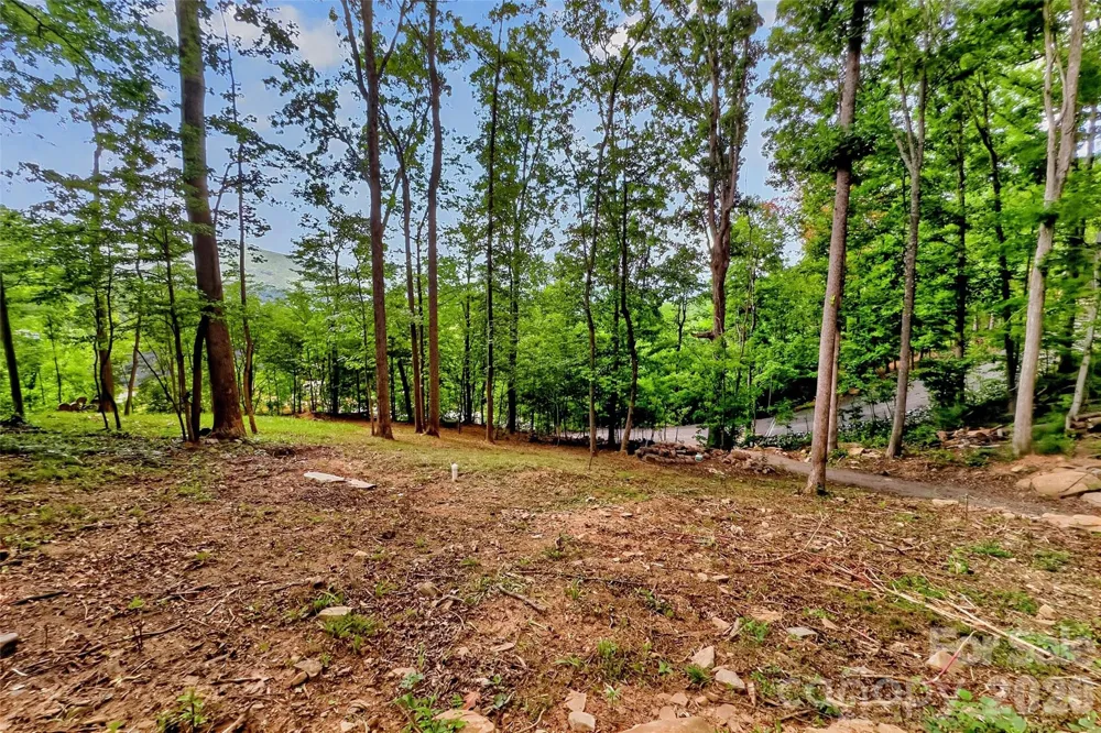 16 Nellie Bell Lane Swannanoa, NC 28778