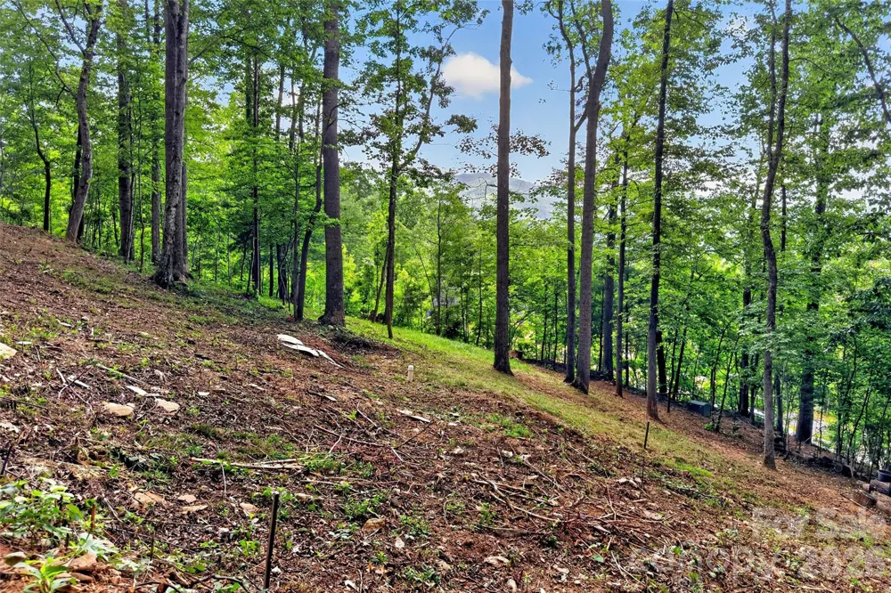 16 Nellie Bell Lane Swannanoa, NC 28778