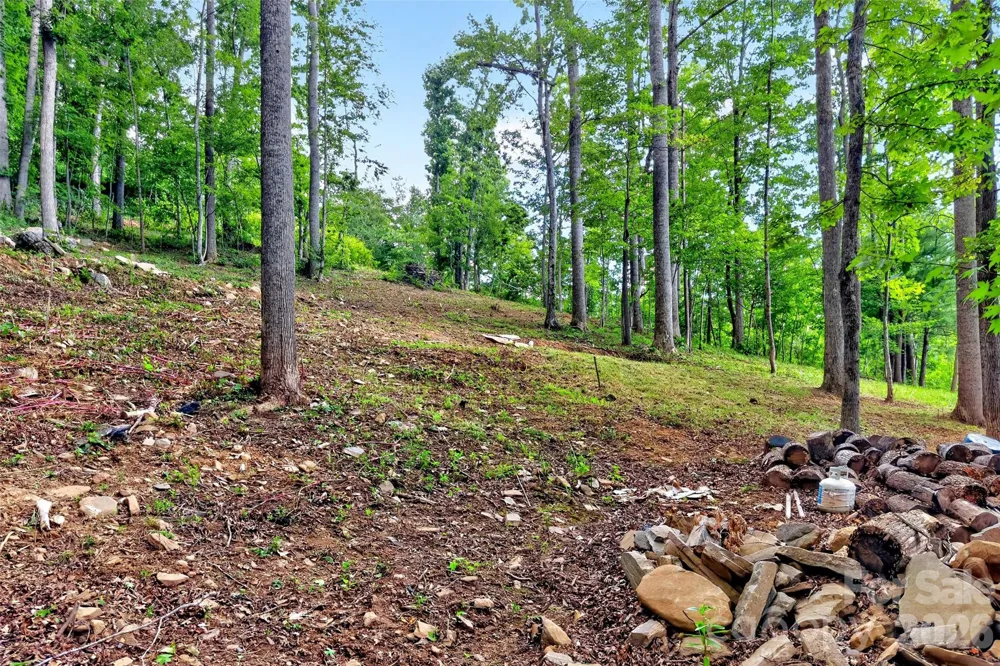 16 Nellie Bell Lane Swannanoa, NC 28778