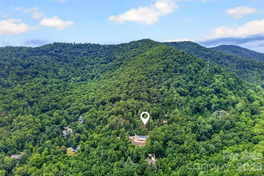 16 Nellie Bell Lane Swannanoa, NC 28778