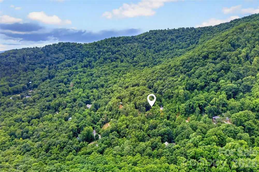 16 Nellie Bell Lane Swannanoa, NC 28778