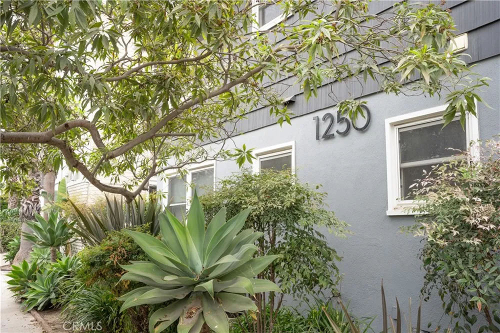1250 E 1st street #7 Long Beach, CA 90802