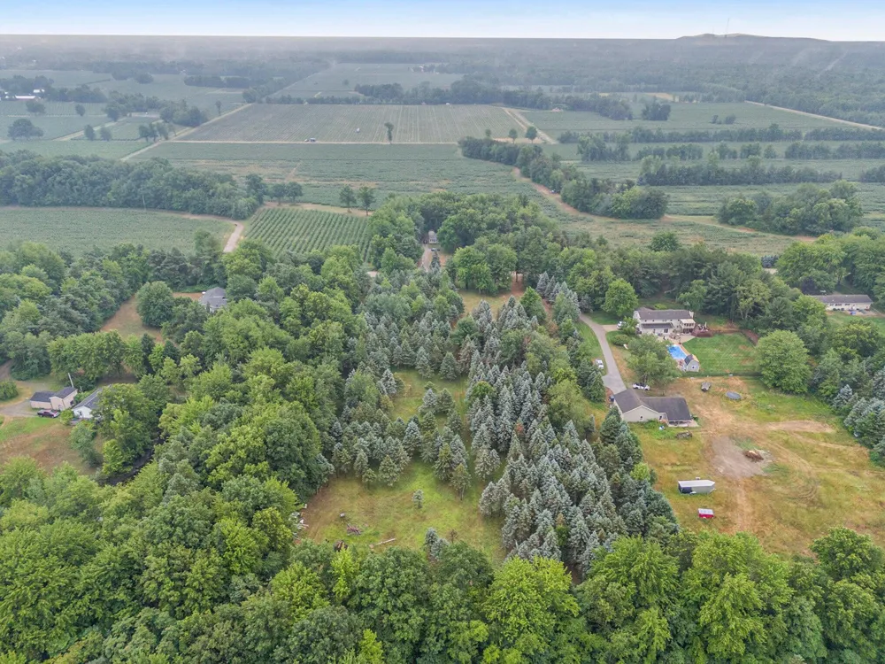 Desay Dr W West Olive, MI 49460