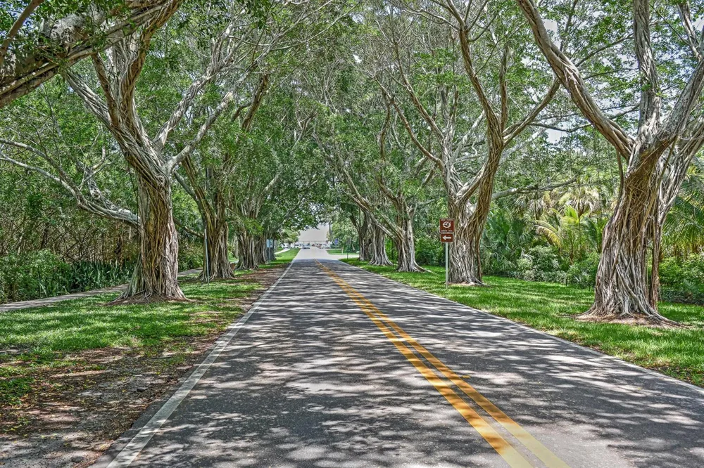 3483 SE CORMORANT PLACE Hobe Sound, FL 33455