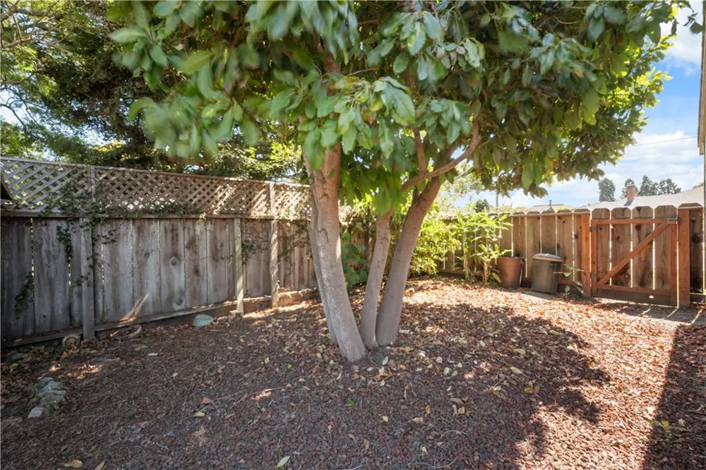 929 Capistrano Salinas, CA 93901