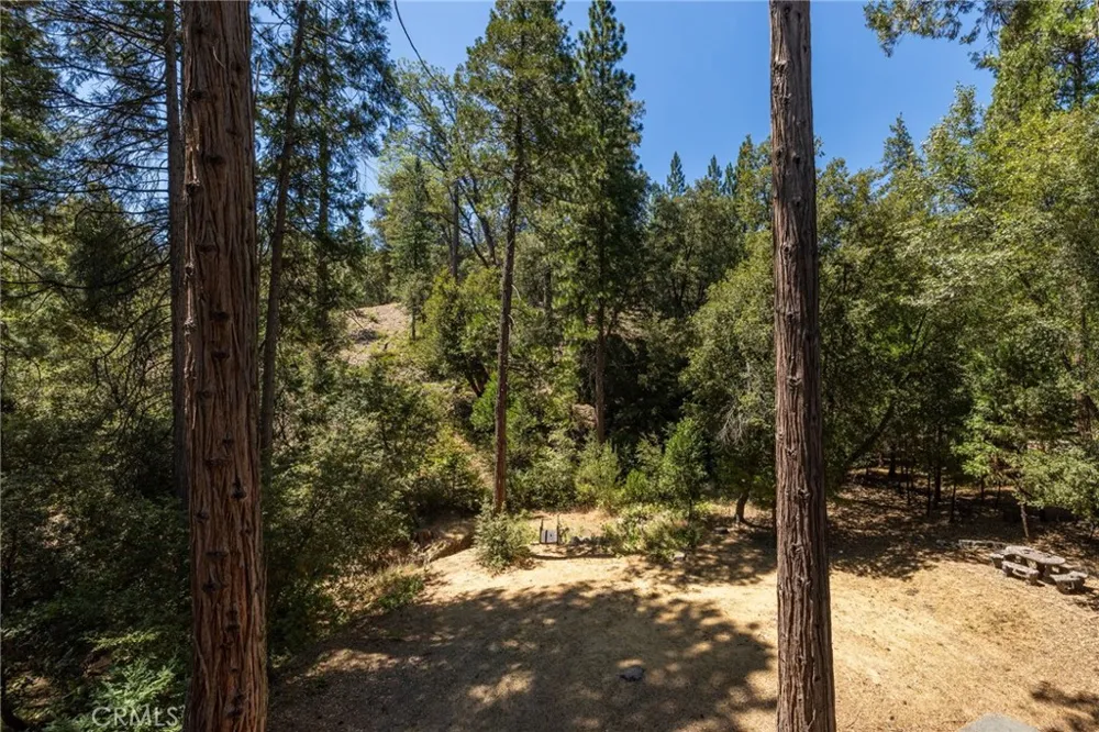 39964 Cedar Vista Bass Lake, CA 93604