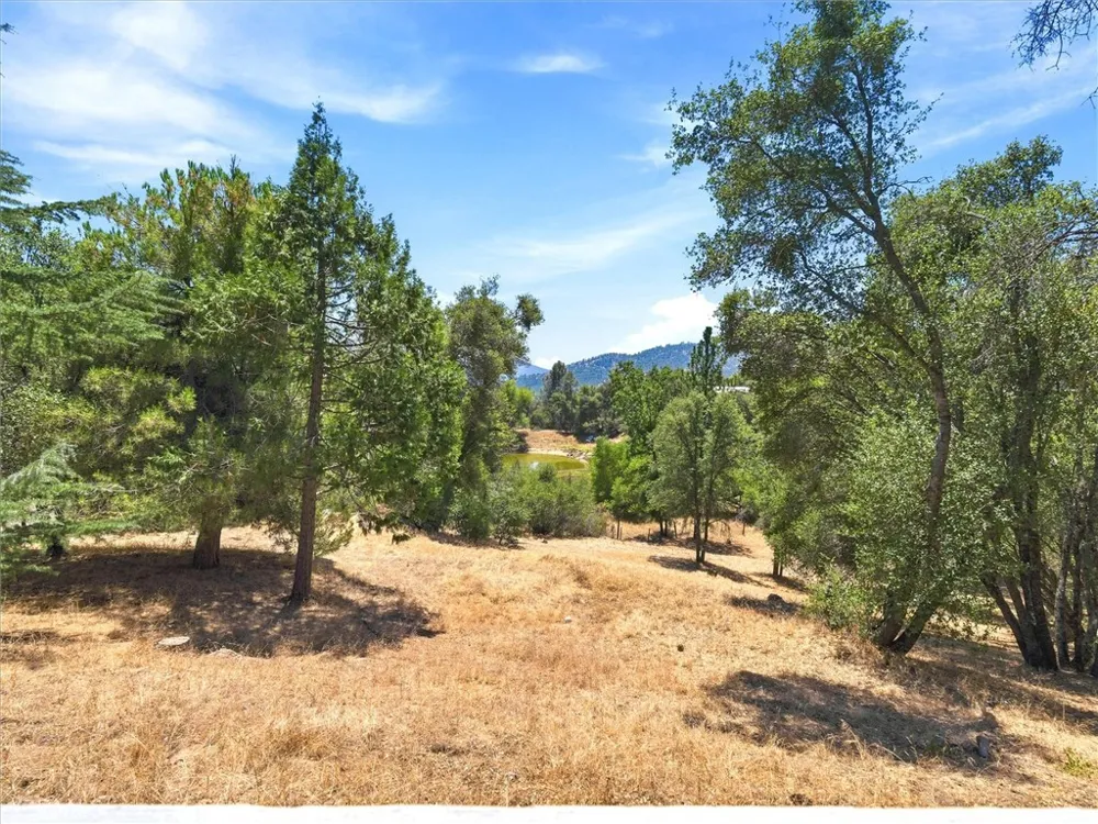 43710 Hilltop Ahwahnee, CA 93601