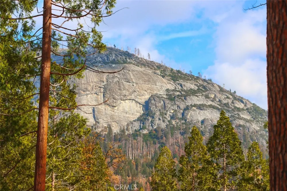 2629 Mariposa Wawona, CA 95389
