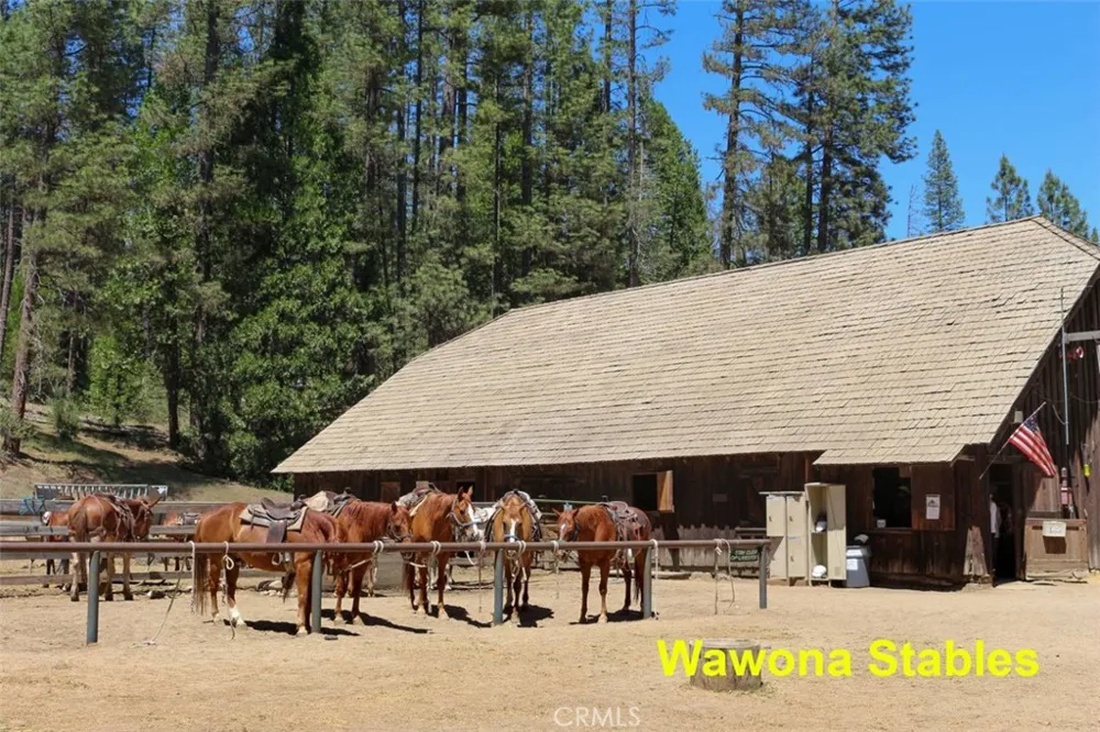 2629 Mariposa Wawona, CA 95389