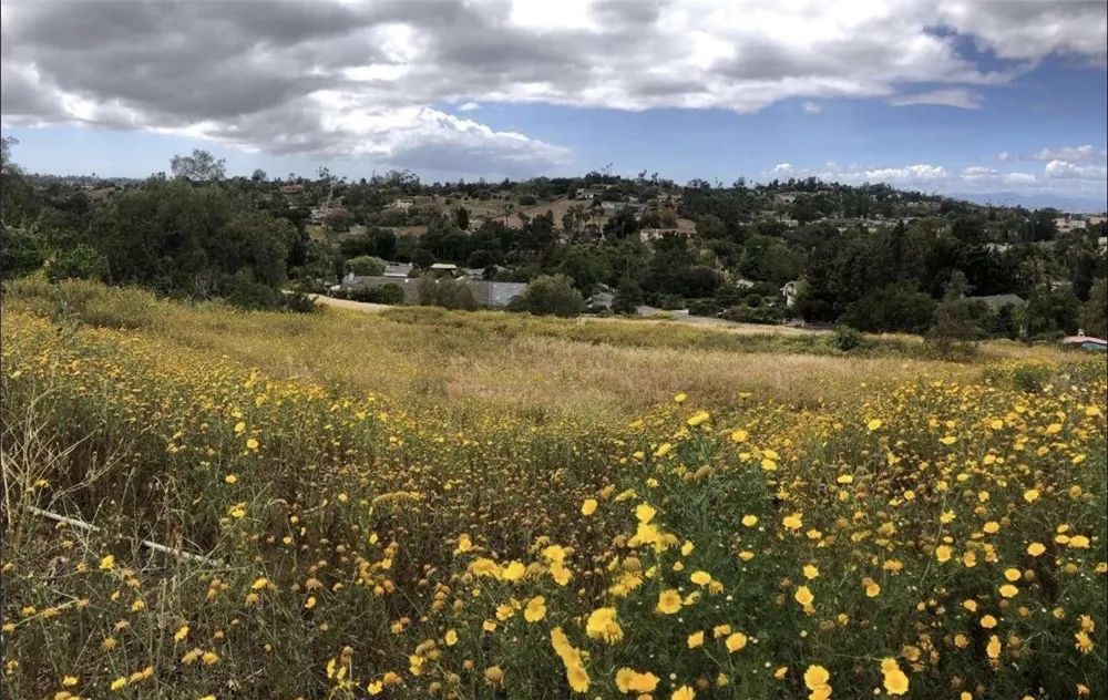 2234 Tierra Verde Road Vista, CA 92084