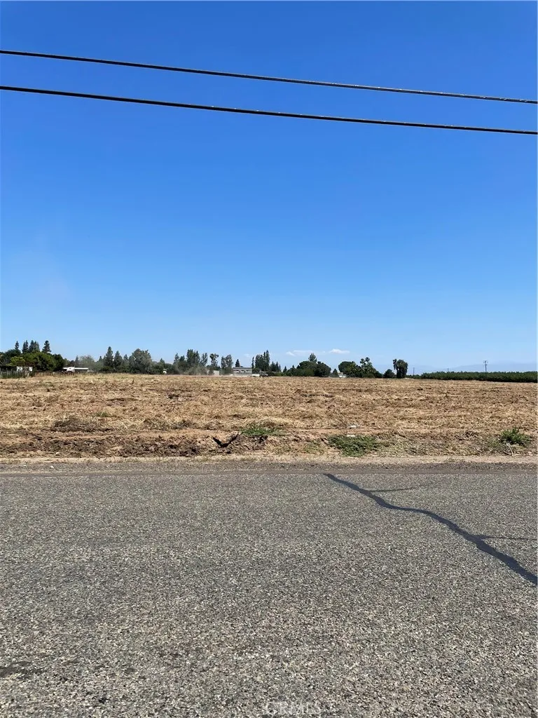 Olive Fresno, CA 93727