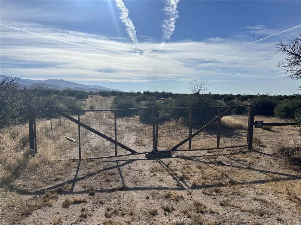 Buttemere Road Phelan, CA 92371