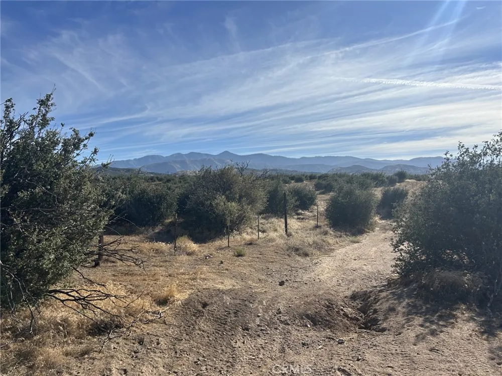 Buttemere Road Phelan, CA 92371