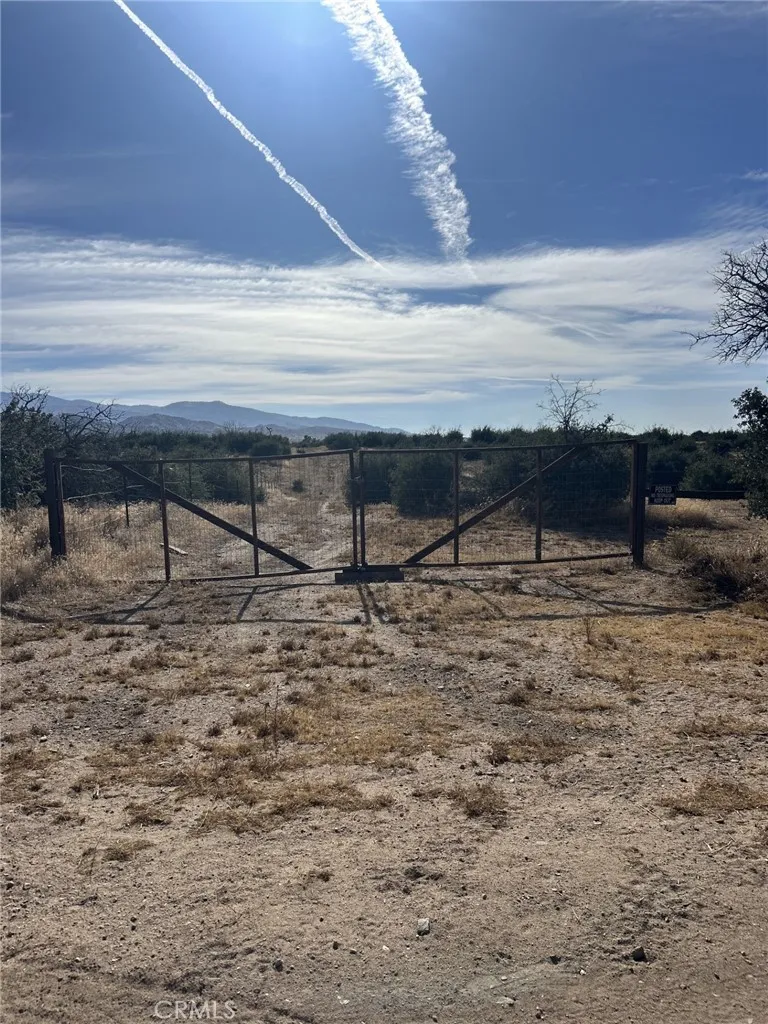 Buttemere Road Phelan, CA 92371