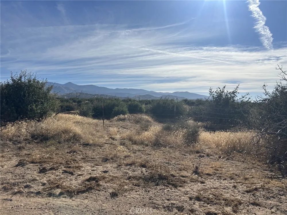 Buttemere Road Phelan, CA 92371