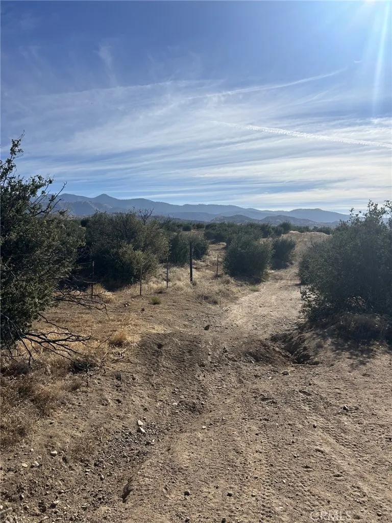 Buttemere Road Phelan, CA 92371