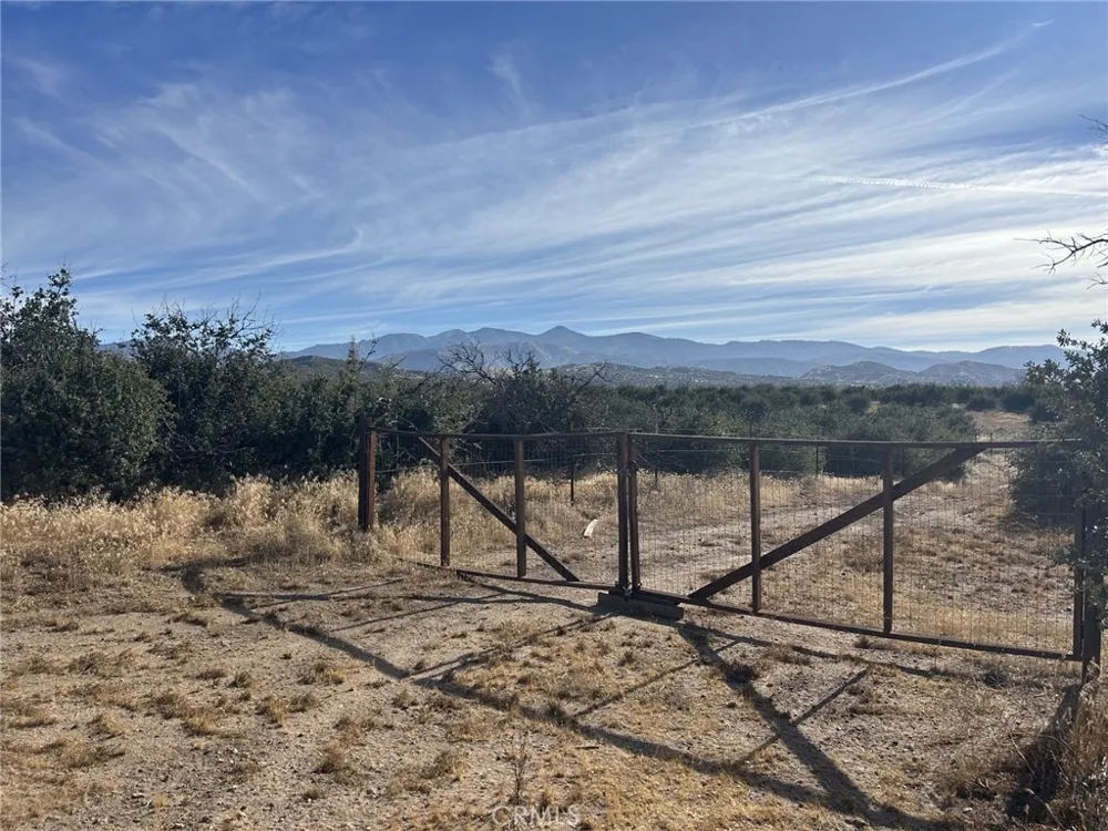 Buttemere Road Phelan, CA 92371