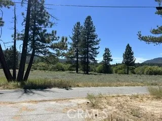 689 Daisy Big Bear Lake, CA 92315