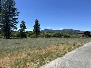 689 Daisy Big Bear Lake, CA 92315